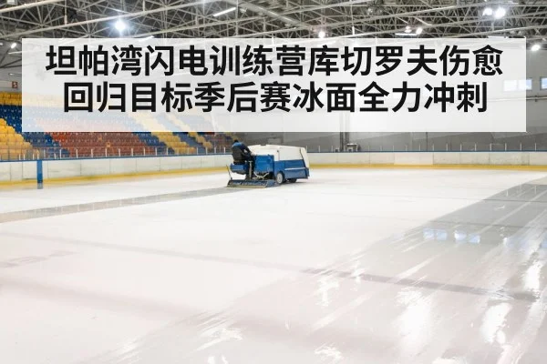 ice hockey rink arena