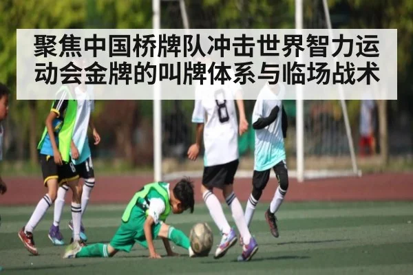聚焦中国桥牌队冲击世界智力运动会金牌的叫牌体系与临场战术
